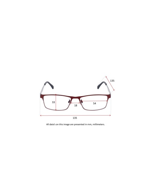 RED METAL - Reading glasses