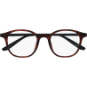 Voltaire Turtle - Lunettes de lecture & Screen Protect
