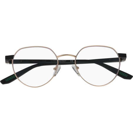 Proust Gold - Lunettes de lecture & Screen protect