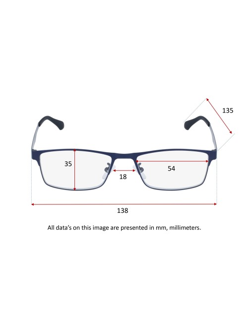 BLUE METAL - Reading glasses